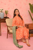 GBD-02962 | Orange & Multicolor | Casual Plus 3 Piece Suit | Cotton Jacquard