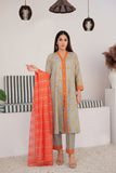 LBD-03036 | Grey & Multicolor | Casual Plus 3 Piece Suit | Cotton Dye Over Gold  Printed