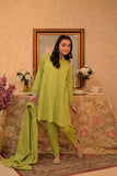 GAD-02908 | Parrot Green | Casual 3 Piece Suit | Cotton Self dobby