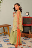 KBD-02957 | Green & Multicolor | Casual Plus 3 Piece Suit | Cotton Jacquard