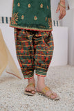 Kids formal clothes | Green & Multicolor | Formal 3 Piece Suit | Cotton Digital Print By Organza | KDD-02995