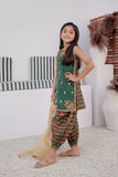 Kids formal clothes | Green & Multicolor | Formal 3 Piece Suit | Cotton Digital Print By Organza | KDD-02995