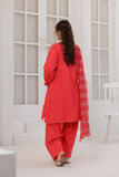 GBD-03099 | Tarbozi & Silver | Casual Plus 3 Piece Suit | Cotton Dobby
