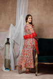 Girls formal clothes | Grey & Multicolor | Formal 3 Piece Suit  | Cotton By Organza Digital Print | GDD-02998