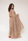 Women Casual Dress | Brown & Gold | Casual Plus 3 Piece Suit | Cotton Plain with Banarsi Borders | LBD-03454