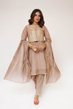 Women Casual Dress | Brown & Gold | Casual Plus 3 Piece Suit | Cotton Plain with Banarsi Borders | LBD-03454