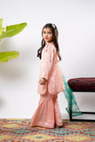 Kids formal clothes | Pink & Multicolor | Formal 3 Piece Suit | Viscose Raw Silk | KDD-03282