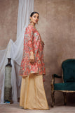 Women Formal Clothes | Baige & Multicolor | Formal 3 Piece Suit | Fancy Fabric Oraganza By Cotton | LDD-03127