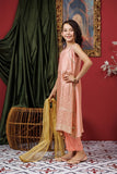 Kids formal clothes | Peach & Gold | Formal 3 Piece Suit | Viscose Raw-Silk | KDD-03106