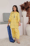 KBD-02903 | Yellow & Blue | Casual Plus 3 Piece Suit | Cotton Jacquard