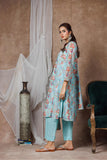 Women Formal Clothes | Ferozi & Multicolor | Formal 3 Piece Suit | Organza By Cotton | LDD-03007