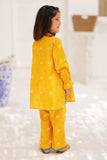 KAD-02288 | Multicolor | Casual 2 Piece Suit  | Cotton Cambric Plain Combo