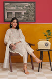 LBD-02229 | Beige & Silver | Casual 3 Piece Suit  | Cotton Fancy Yarn