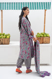 GAD-02441 | Grey & Multicolor | Casual 3 Piece Suit | Khaddar Printed