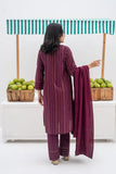 LAD-02439 | Magenta & Golden | Casual 3 Piece Suit | Karandi Fabric