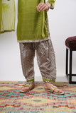 Kids formal clothes | Green & Multicolor | Formal 3 Piece Suit | Polyester Tussar Silk with Digital print | KDD-03230