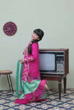 KDD-02090 | Shocking Pink & Sea Green | Formal 3 Piece Suit | Banarsi Organza tissue