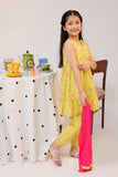 KAD-02543 | Yellow & Multicolor | Casual 3 Piece Suit | Cotton Cambric