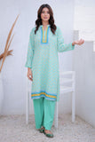 LAD-02496 | Sea Green & Muliticolor | Casual 3 Piece Suit  | Khaddar Printed