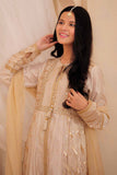 GDD-02371 | Fawn & Multicolor | Formal  3 Piece Suit | Fancy Fabric Crinkle Multic Zari
