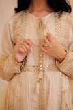 GDD-02371 | Fawn & Multicolor | Formal  3 Piece Suit | Fancy Fabric Crinkle Multic Zari