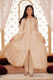 GDD-02371 | Fawn & Multicolor | Formal  3 Piece Suit | Fancy Fabric Crinkle Multic Zari