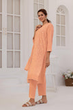 LBD-03091 | Mix | Casual Plus 3 Piece Suit | Plain Cotton
