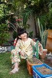KAD-01680 | Fawn & Multicolor | Casual 3 Piece Suit  | Cotton Lawn Combo