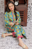 GAC-02168 | Blue & Multicolor  | Casual 2 Piece Suit   | Cotton Cambric Print