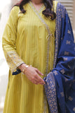 Casual Plus 3 Piece Suit  | Cotton Jacquard Dobby | Mehndi Green & Blue | LBD-02005