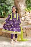 Casual Plus 3 Piece Suit | Cotton Gold Printed & Paist Lawn | Purple & Multicolor | KBD-02023