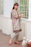 Casual Plus 3 Piece Suit | Cotton Gold Printed & Paist Lawn | Grey & Multicolor | GBD-02024